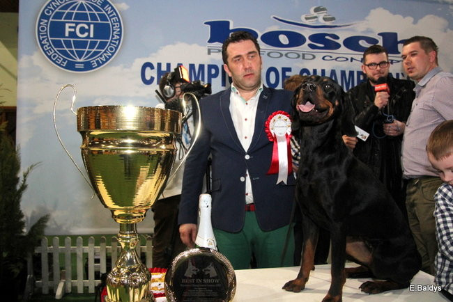 Pies gończy polski championem wystawy w Trapezie (zdjęcia)