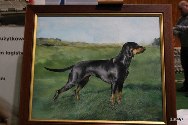 Pies gończy polski championem wystawy w Trapezie (zdjęcia)