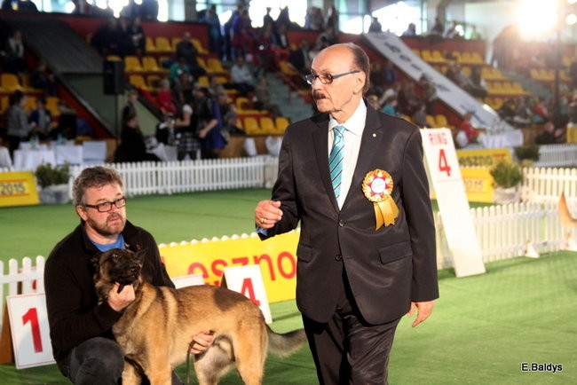 Pies gończy polski championem wystawy w Trapezie (zdjęcia)