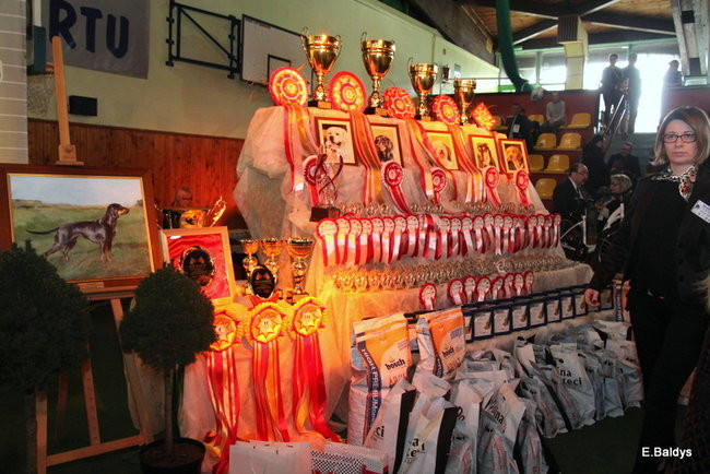 Pies gończy polski championem wystawy w Trapezie (zdjęcia)