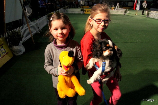 Pies gończy polski championem wystawy w Trapezie (zdjęcia)