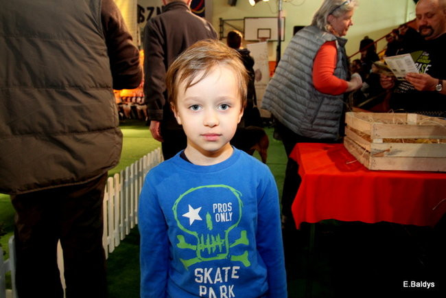 Pies gończy polski championem wystawy w Trapezie (zdjęcia)