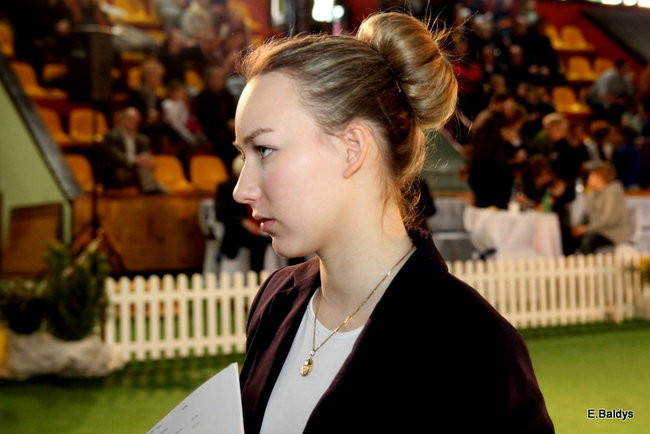 Pies gończy polski championem wystawy w Trapezie (zdjęcia)