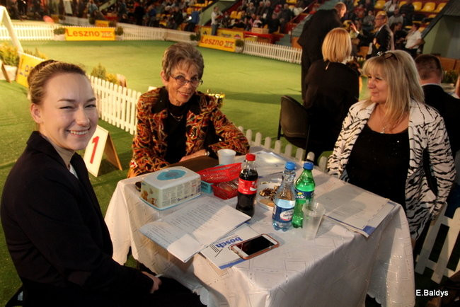 Pies gończy polski championem wystawy w Trapezie (zdjęcia)