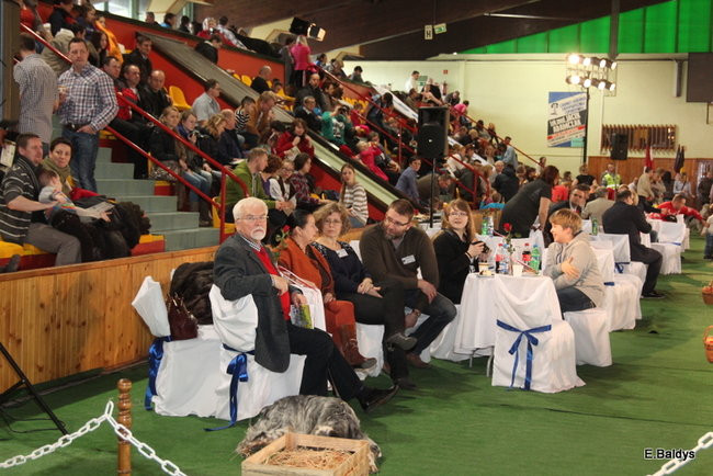 Pies gończy polski championem wystawy w Trapezie (zdjęcia)