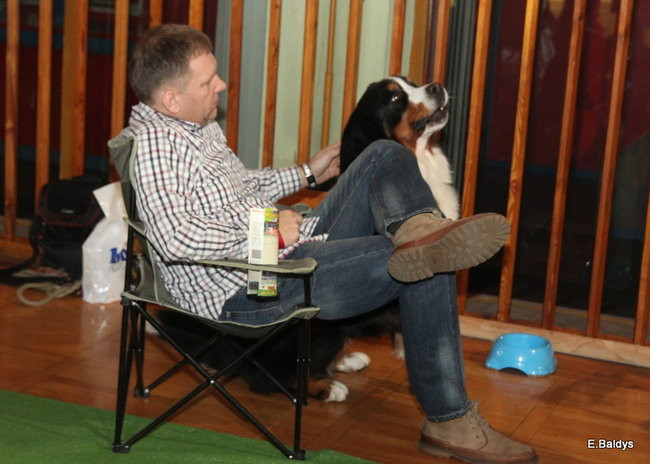 Pies gończy polski championem wystawy w Trapezie (zdjęcia)