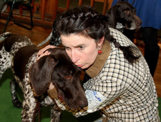Pies gończy polski championem wystawy w Trapezie (zdjęcia)