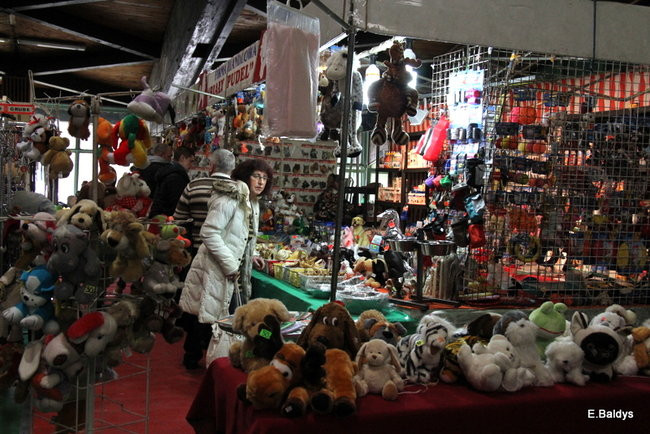 Pies gończy polski championem wystawy w Trapezie (zdjęcia)