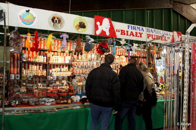 Pies gończy polski championem wystawy w Trapezie (zdjęcia)