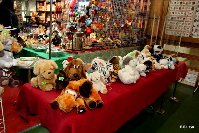 Pies gończy polski championem wystawy w Trapezie (zdjęcia)