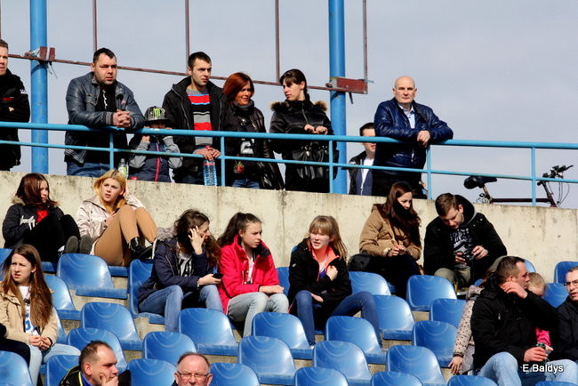 Byki na torze! ( zdjęcia)