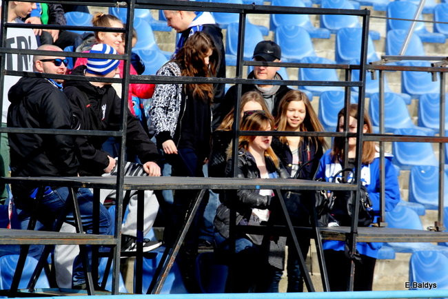 Byki na torze! ( zdjęcia)