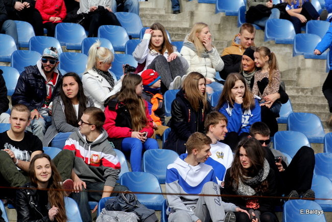 Byki na torze! ( zdjęcia)