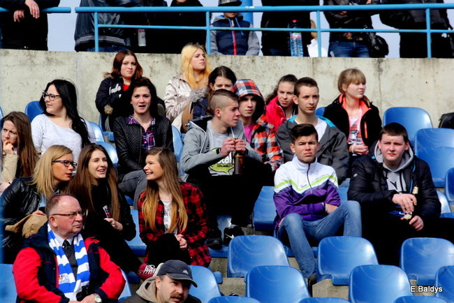 Byki na torze! ( zdjęcia)