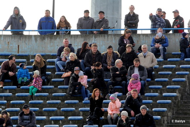 Byki na torze! ( zdjęcia)