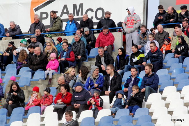 Byki na torze! ( zdjęcia)