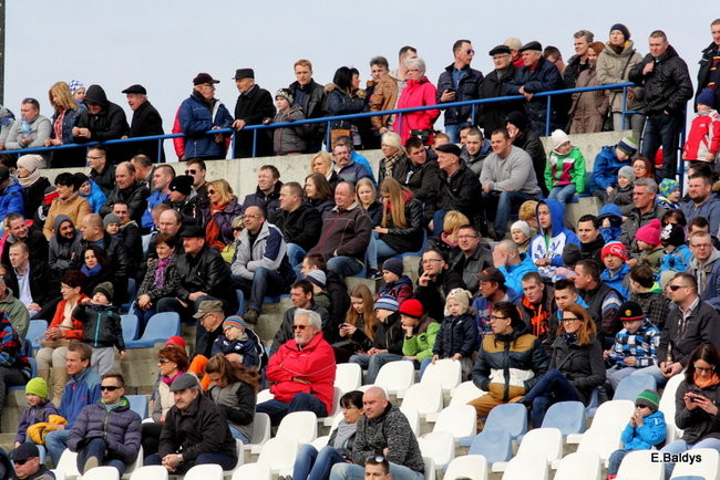 Byki na torze! ( zdjęcia)