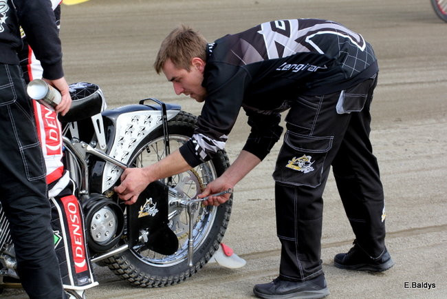 Byki na torze! ( zdjęcia)