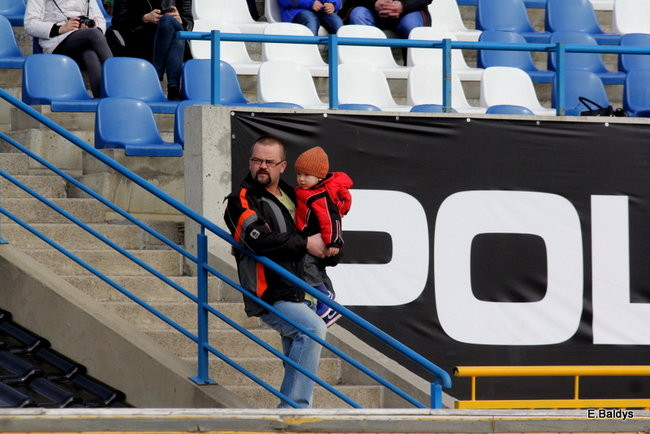 Byki na torze! ( zdjęcia)