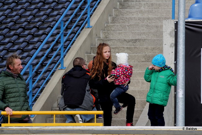 Byki na torze! ( zdjęcia)