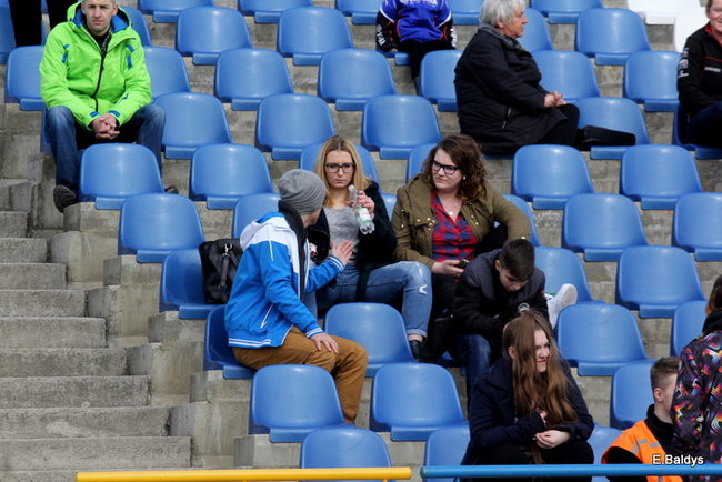 Byki na torze! ( zdjęcia)