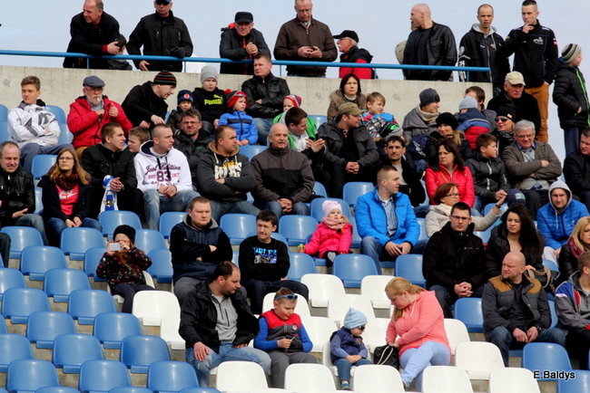 Byki na torze! ( zdjęcia)