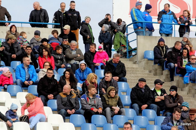 Byki na torze! ( zdjęcia)