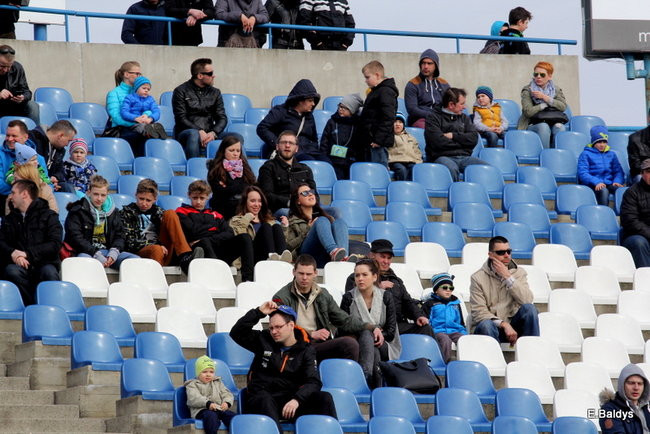 Byki na torze! ( zdjęcia)