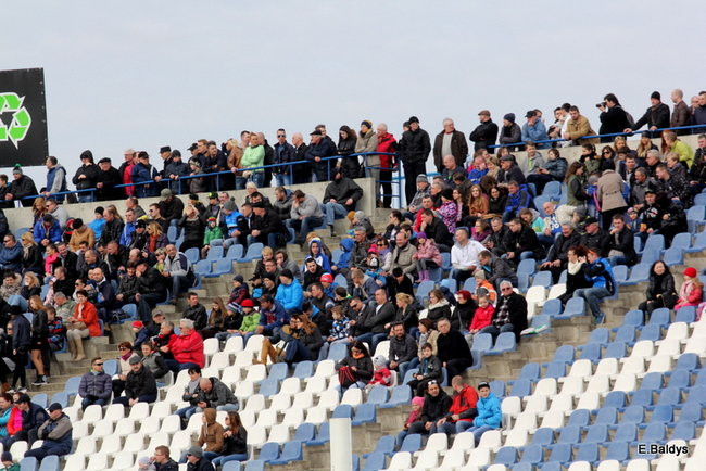 Byki na torze! ( zdjęcia)