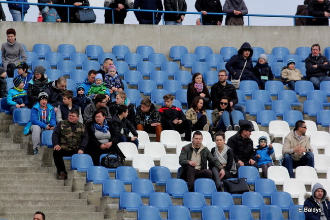 Byki na torze! ( zdjęcia)