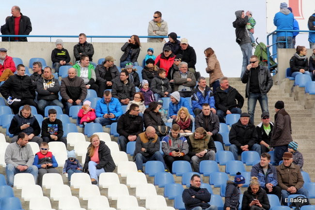 Byki na torze! ( zdjęcia)