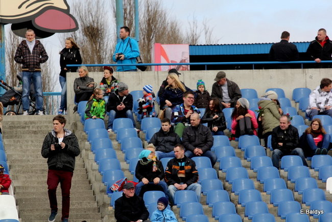 Byki na torze! ( zdjęcia)