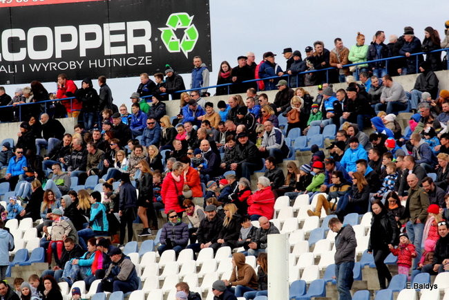 Byki na torze! ( zdjęcia)