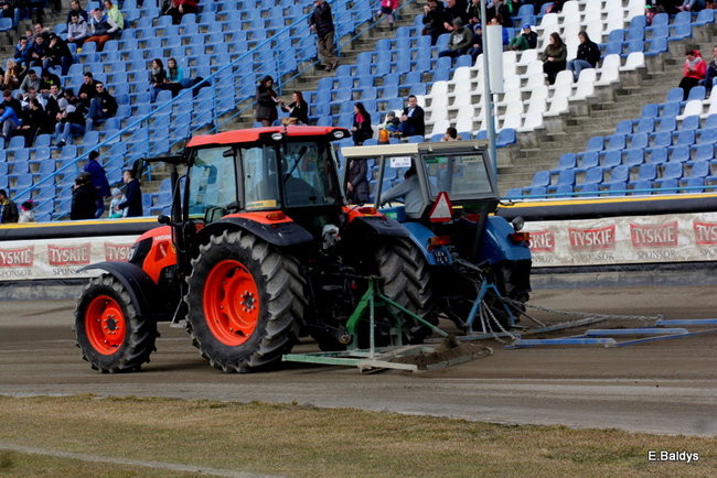 Byki na torze! ( zdjęcia)