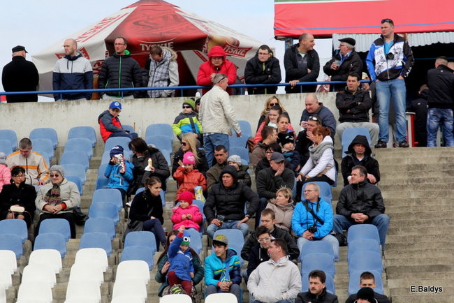 Byki na torze! ( zdjęcia)