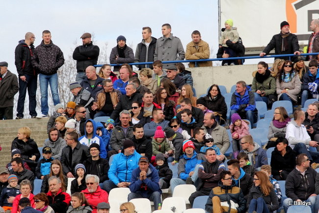 Byki na torze! ( zdjęcia)