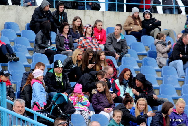 Byki na torze! ( zdjęcia)