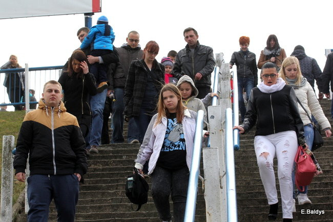 Byki na torze! ( zdjęcia)