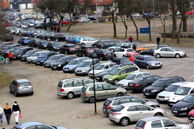 Byki na torze! ( zdjęcia)