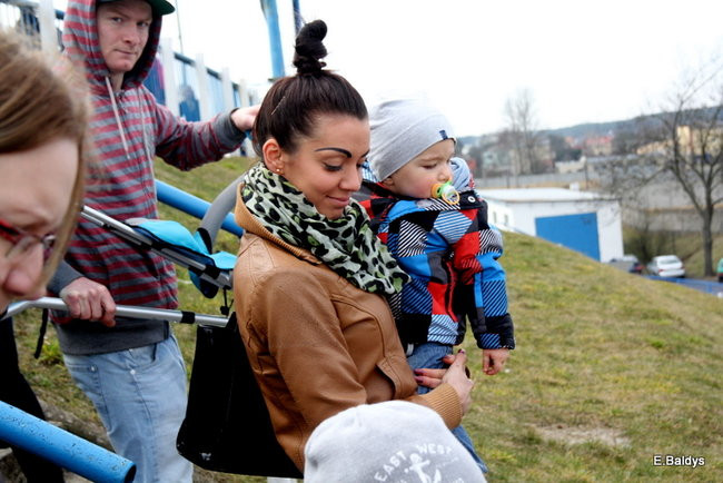 Byki na torze! ( zdjęcia)