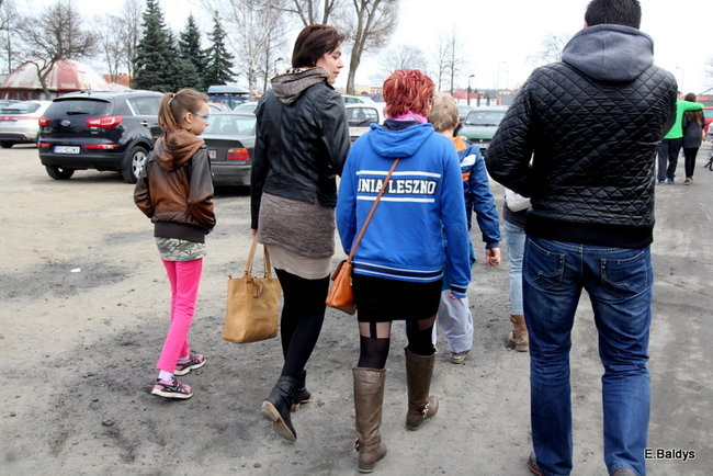 Byki na torze! ( zdjęcia)