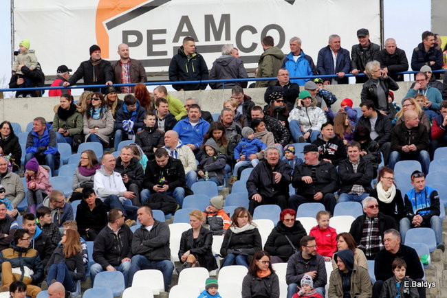 Byki na torze! ( zdjęcia)