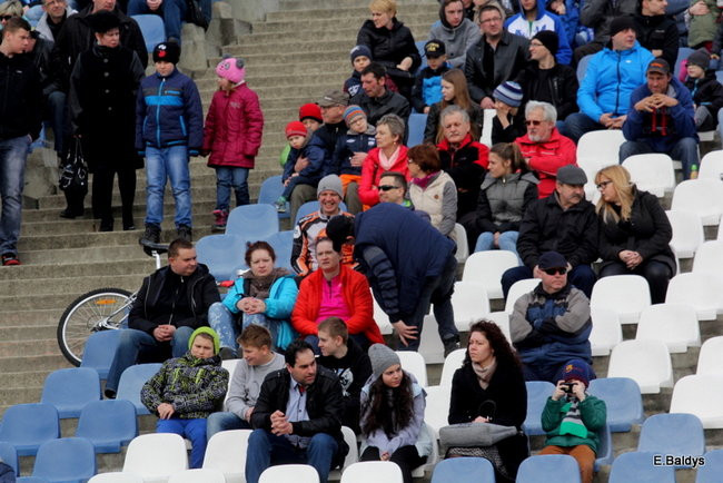 Byki na torze! ( zdjęcia)