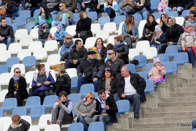 Byki na torze! ( zdjęcia)