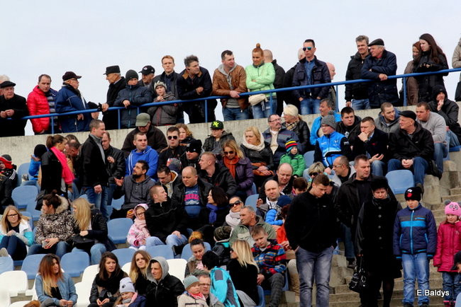 Byki na torze! ( zdjęcia)