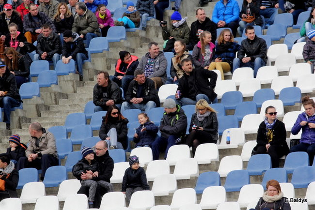 Byki na torze! ( zdjęcia)