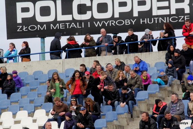 Byki na torze! ( zdjęcia)