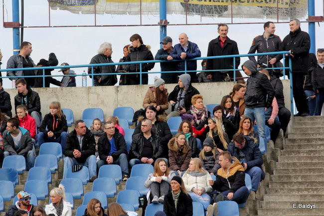 Byki na torze! ( zdjęcia)