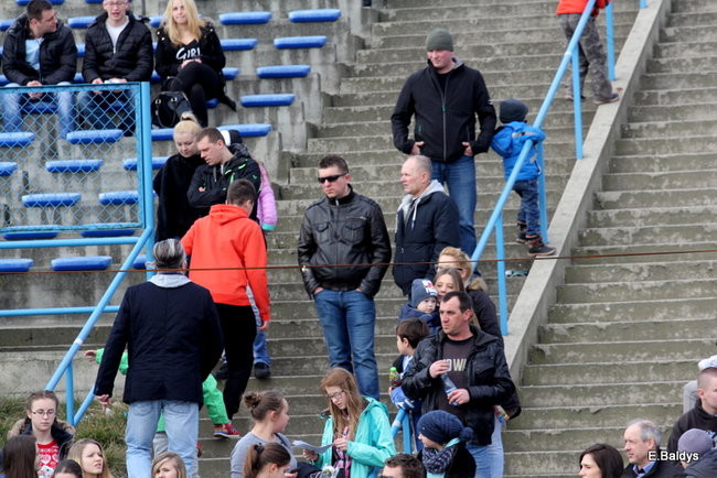 Byki na torze! ( zdjęcia)