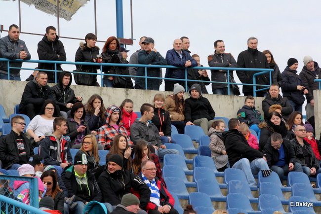 Byki na torze! ( zdjęcia)